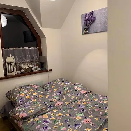 Apartament Widokowy Wiesia Zakopane Exteriér fotografie